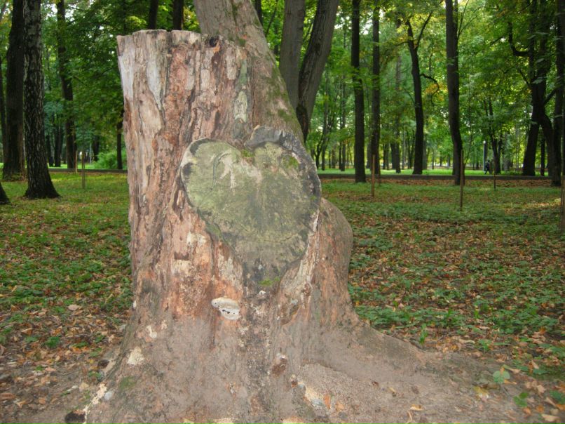 Наталья Федоритенко | Москва