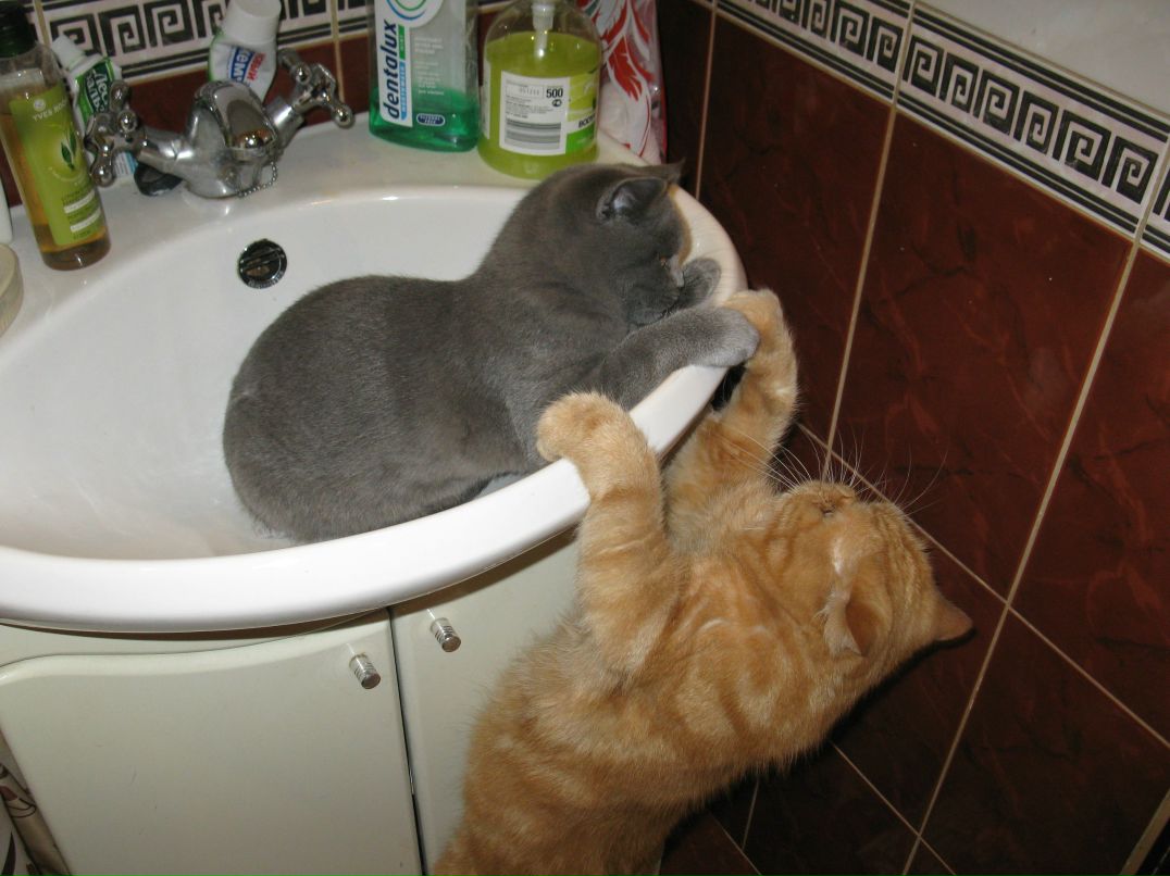 Татьяна Чикина | Санкт-Петербург