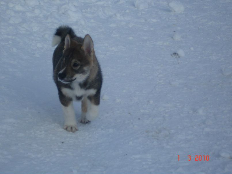 Юлия Соломатина Сергеевна | Ухта