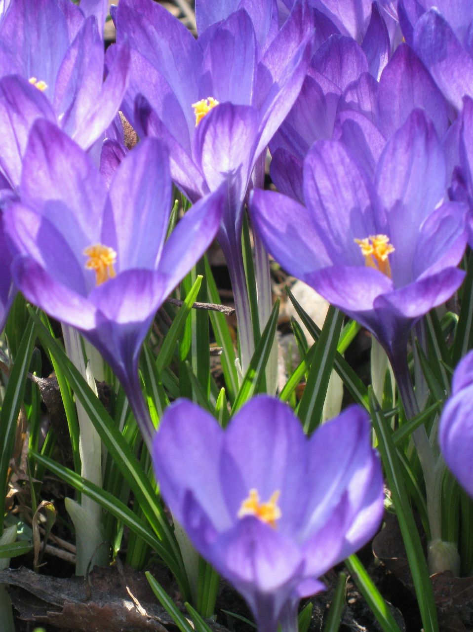 Тамара Бирюкова toma-bi | Москва