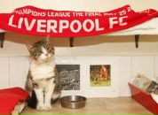 №4 Vadik Vinogradov : профиль, фото, статус - ВКонтакте №4 Vadik Vinogradov : профиль, фото, статус - ВКонтакте