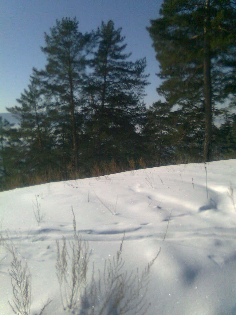 Геннадий Пальчиков | Самара