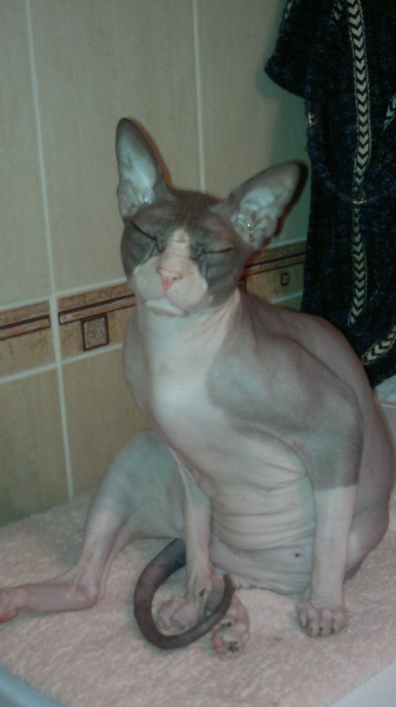 Валентин Шахмедов | Москва