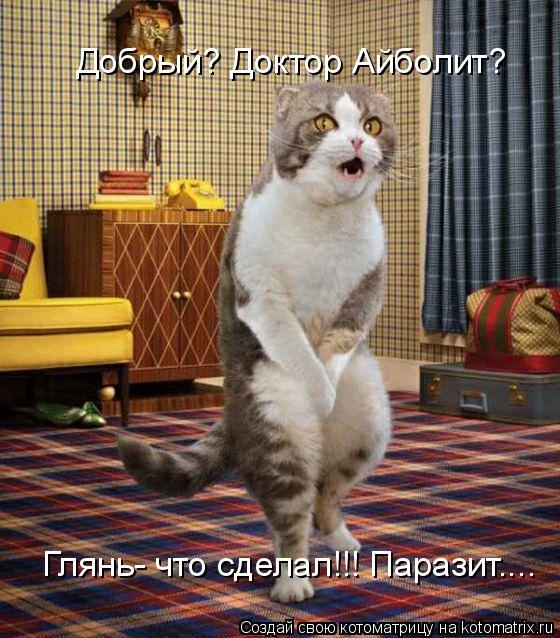 Антоха Аршинов | Пенза