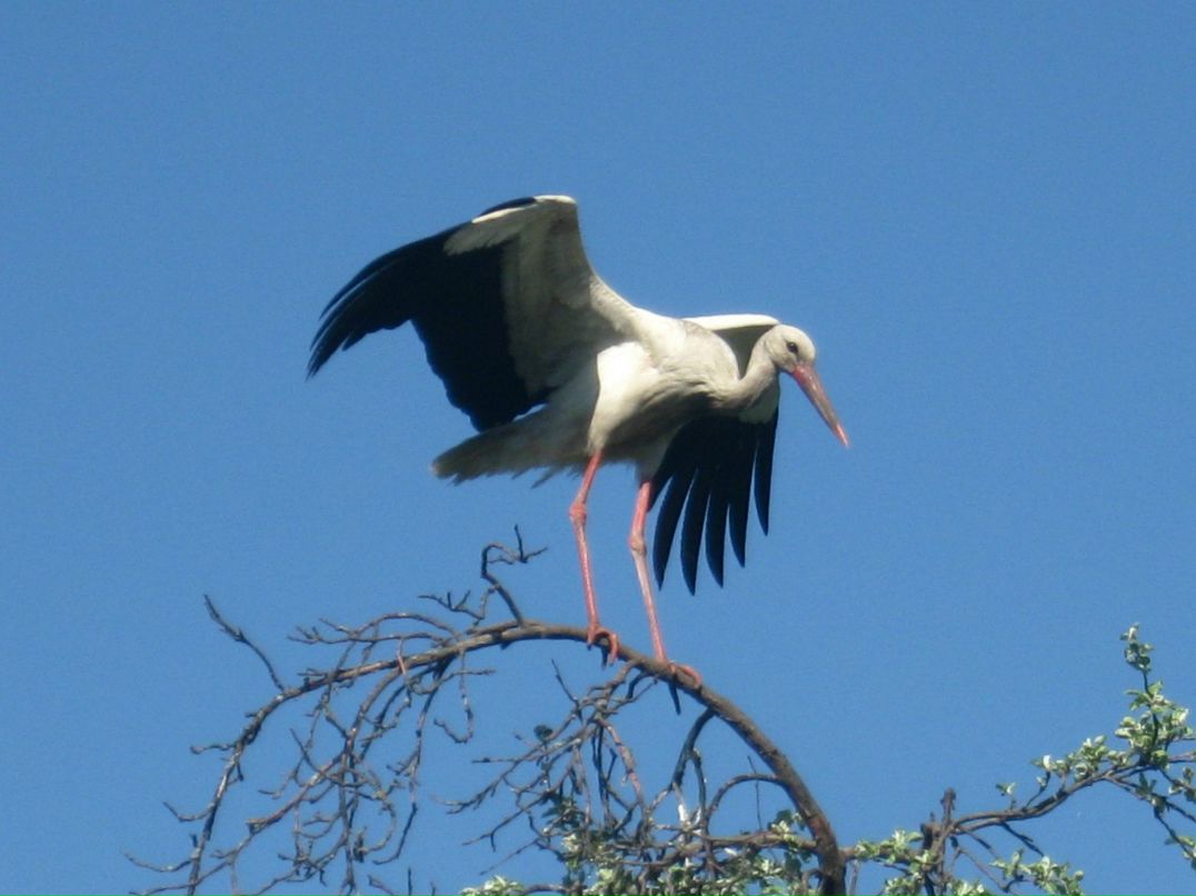 Оксана Гончарова | Санкт-Петербург