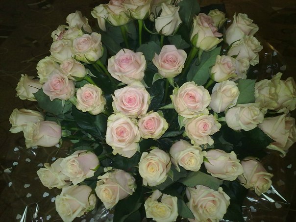 №34, Светлана Сахаутдинова, Нижний Тагил №34, Светлана Сахаутдинова, Нижний Тагил