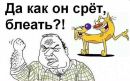 Фотография Александр Логинов