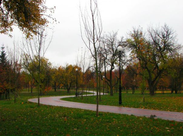 №26, Иван Тоцкий, Киев №26, Иван Тоцкий, Киев