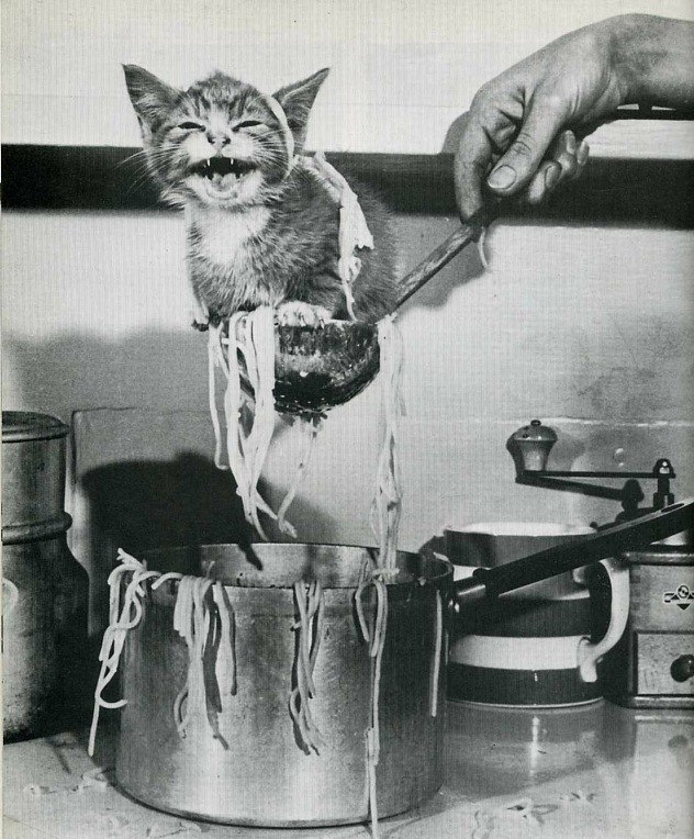 Denis Timonin | Хабаровск