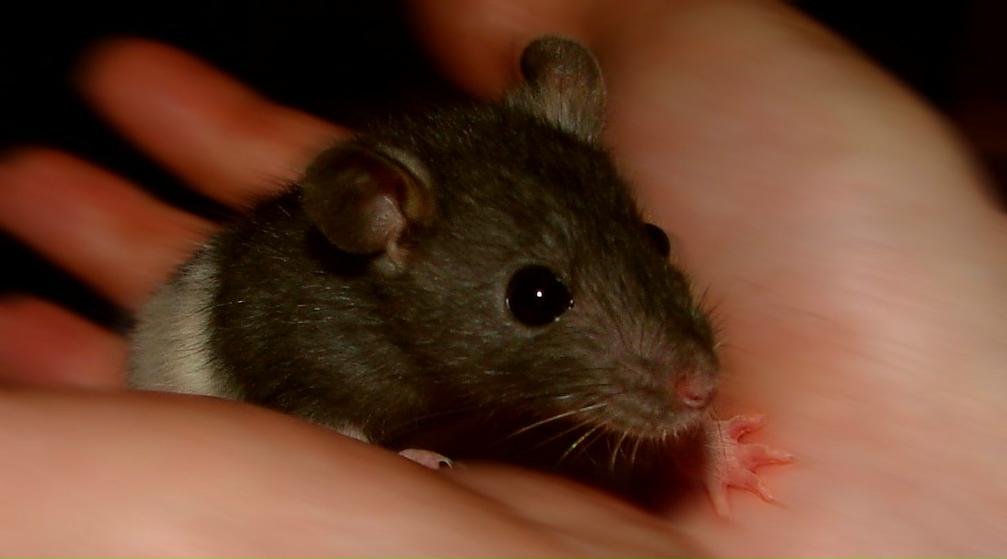 Наташа Рожкова | Запорожье