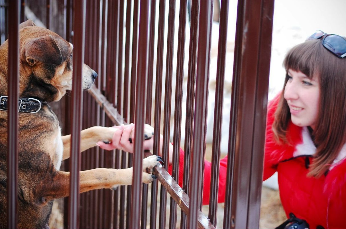 Анастасия Гагарина | Тверь