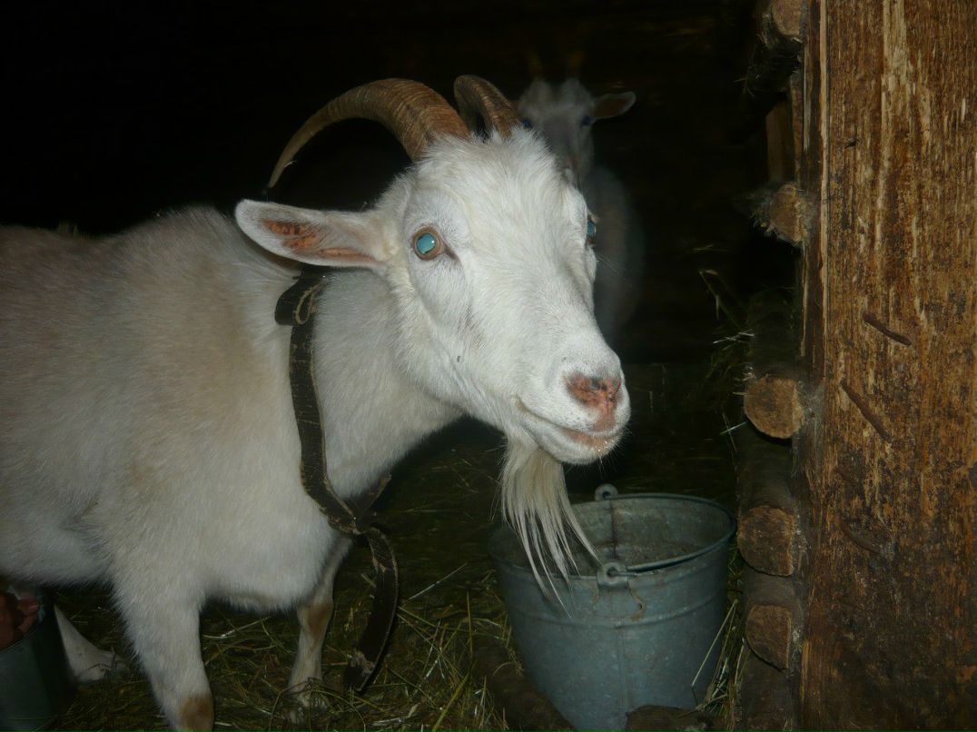 Кашин Илья | Санкт-Петербург