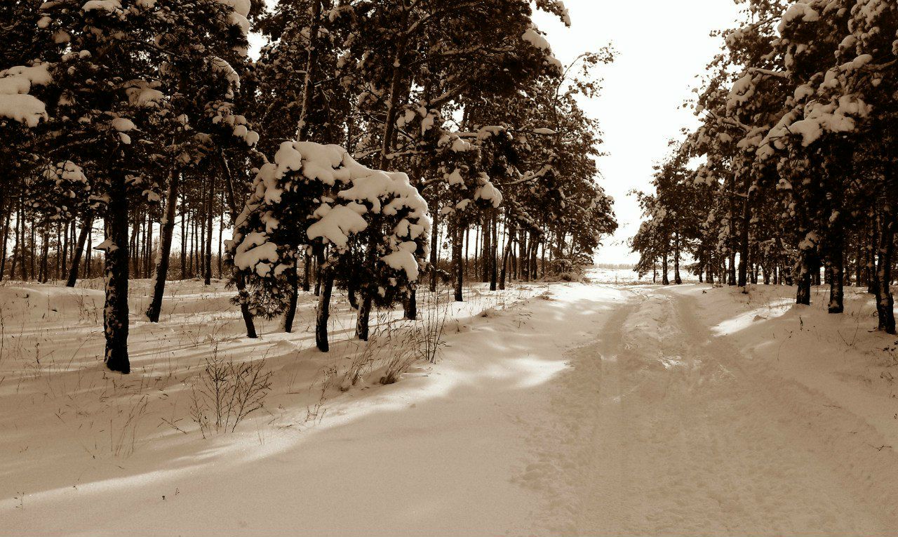 Иван Говорухин | 