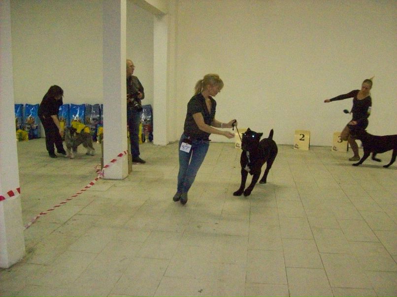 Александр Ситников Вячеславович | Санкт-Петербург