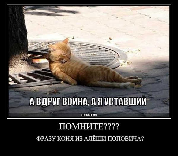 №32, Максим Горбачёв, Кологрив №32, Максим Горбачёв, Кологрив