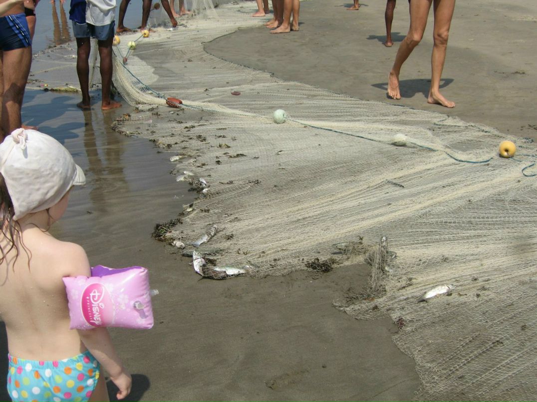 Светлана Маркова | Санкт-Петербург