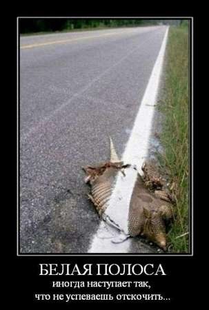 №38, Еваника Власова, Краснодар №38, Еваника Власова, Краснодар