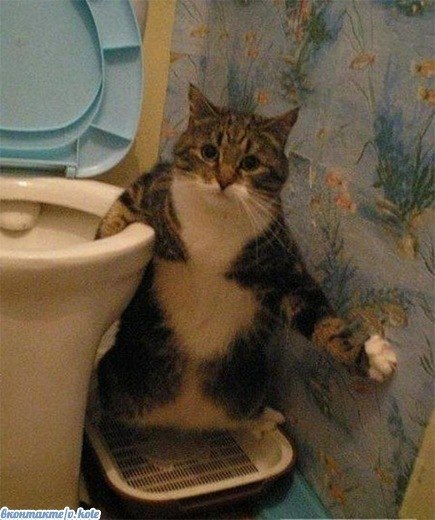 Елена Клевцова | Сочи