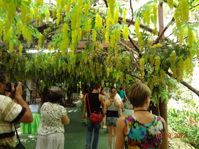 Светлана Степанова | Северодвинск