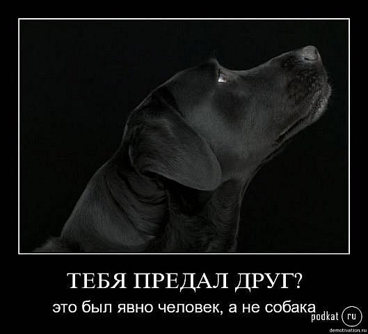 Екатерина Жуйкова | Тюмень