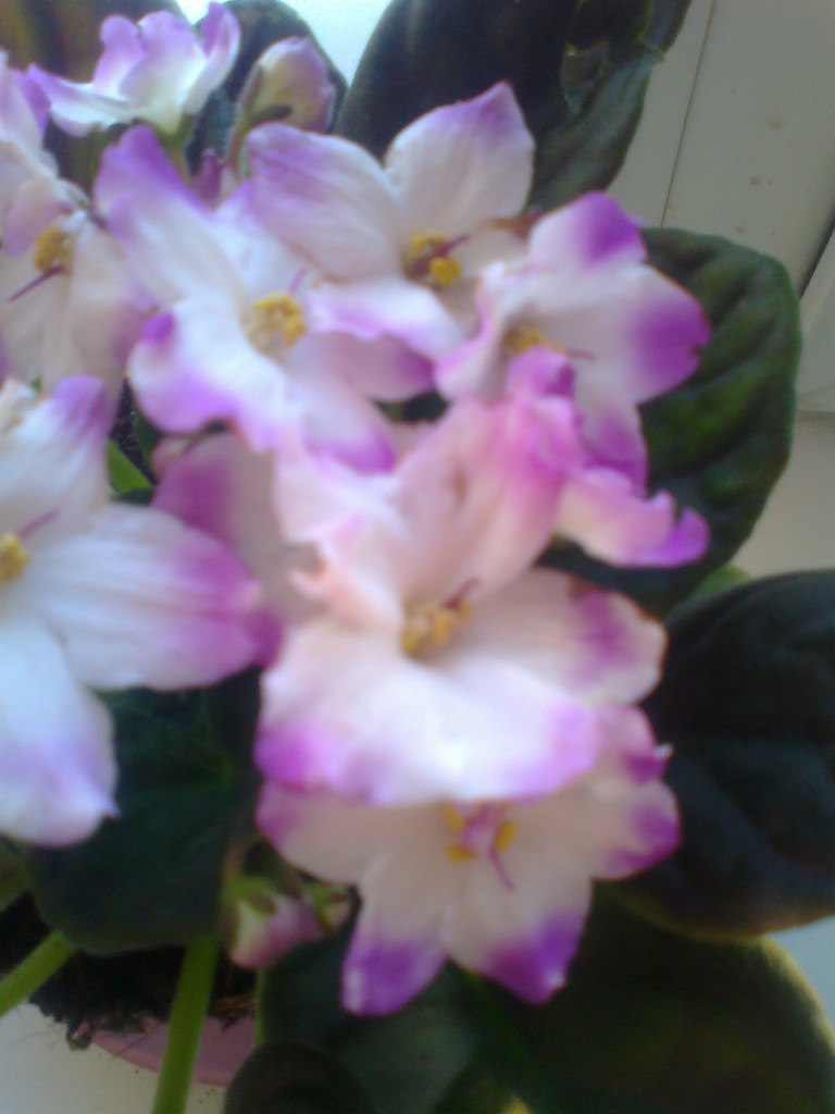 Яна Уфимцева | Сургут