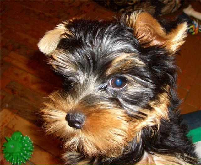 №16, Сергей Лопатюк, 50 лет, Санкт-Петербург №16, Сергей Лопатюк, 50 лет, Санкт-Петербург