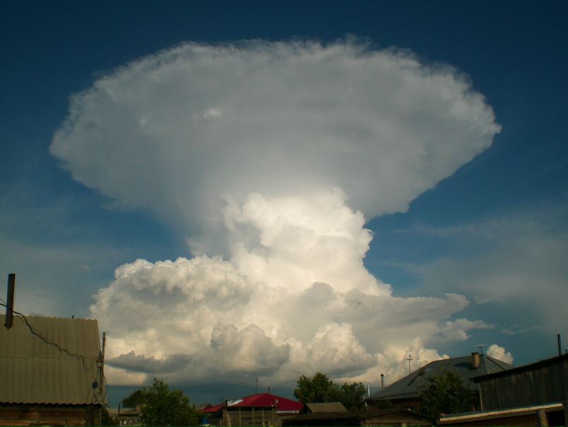 №100, Юрий Пидриз №100, Юрий Пидриз