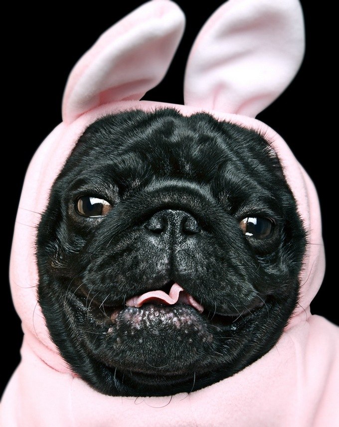 Mary Cherry ★ | Москва