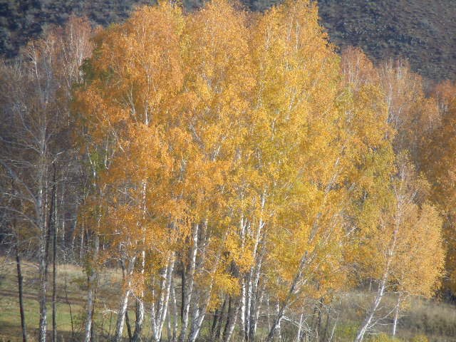 Надежда Лещенко | Медногорск
