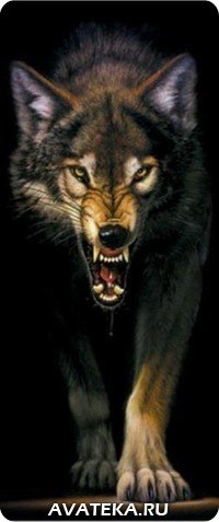 Николай Акимов | Иркутск