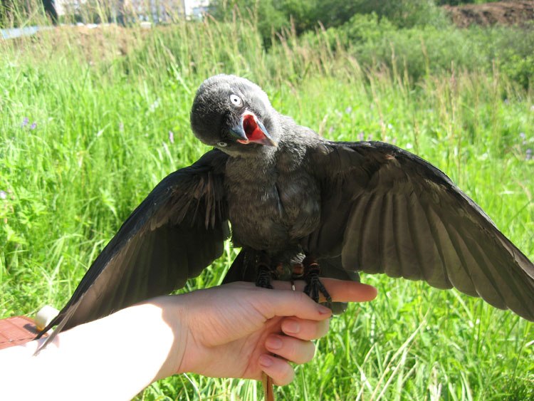 Таша Солнцева | Москва