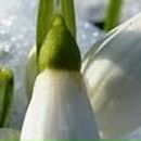 Юлия Медведева | Нижнекамск