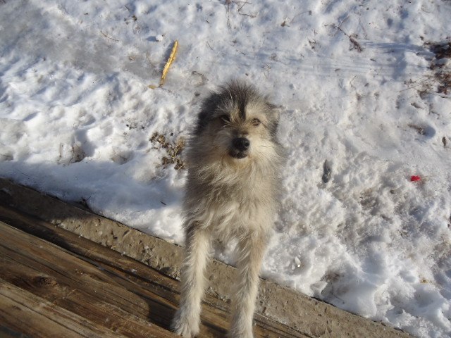 Зульфия Абдулгалимова | Аркаулово