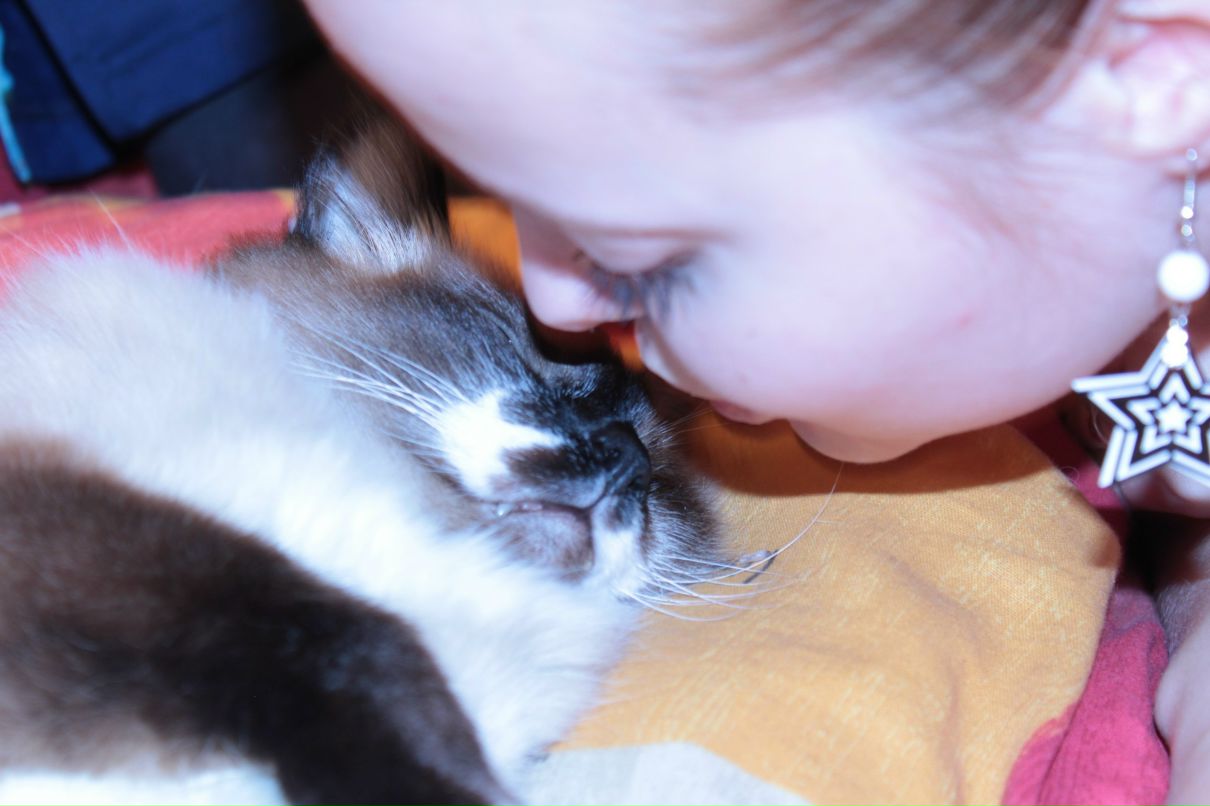 Олька Рыльская Ёжик-Жик-Жик | Санкт-Петербург