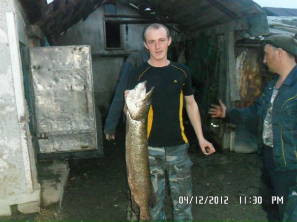 №10, Евгений Купцов №10, Евгений Купцов