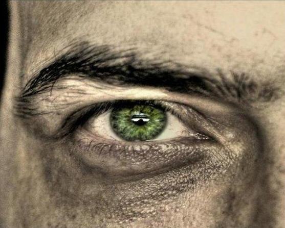 Дмитрий Скитов | Минск