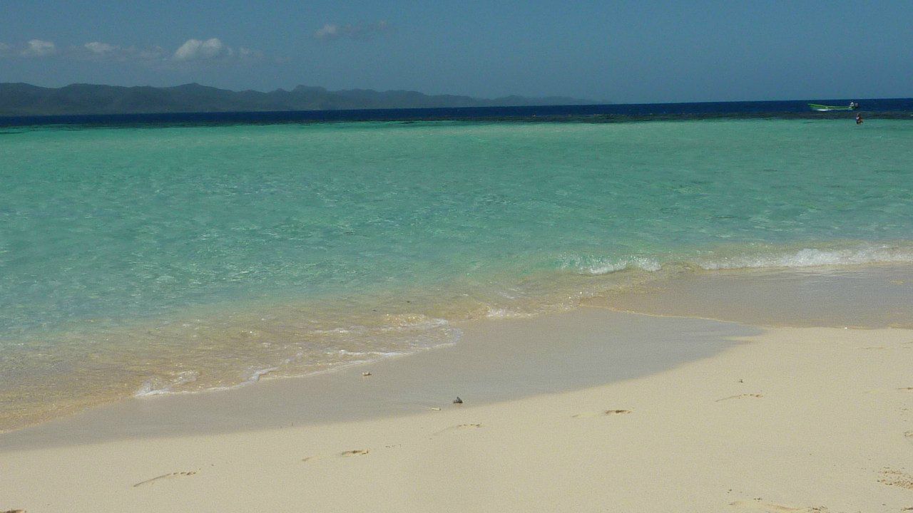 Максим Голушко | Köln