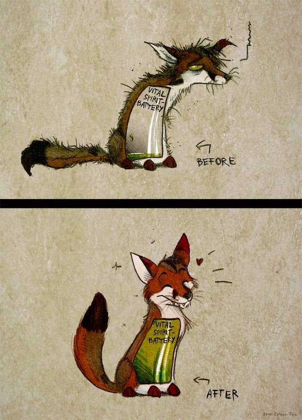 Сергей Романов | Санкт-Петербург