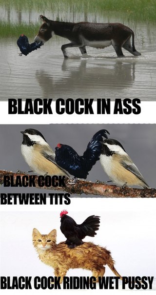 Роман Бурков Юрьевич | Воронеж