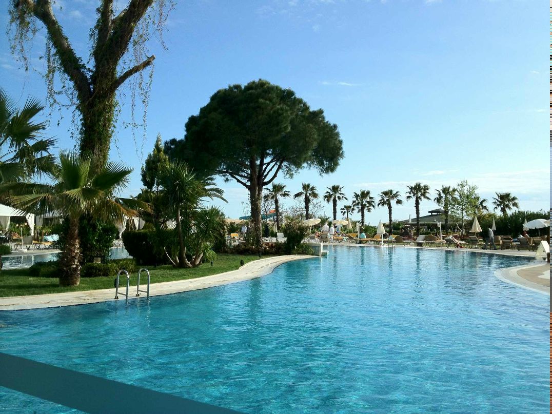 Yuriy Dolmatov | Москва