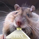 Олег Юрин | Абакан