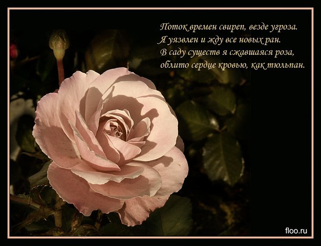 Любовь Стаканова | Сургут