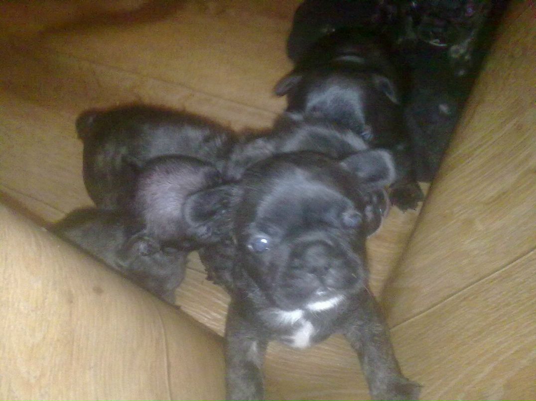 Андрей Шестаков | Калининград