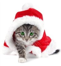 №6, Ксения Крюкова, Пушкино №6, Ксения Крюкова, Пушкино