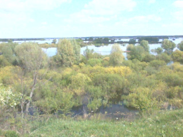 Елена Богославец | Рогачев