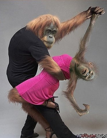 Ириша Евстафьева | Шуя