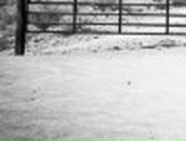 Артур Баркеев | Москва