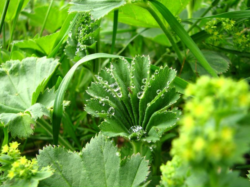 Артем Лапкин | Запорожье