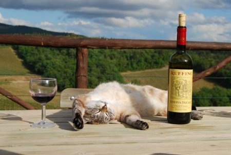 №123, Анастасия Михайлова, 41 год, Санкт-Петербург №123, Анастасия Михайлова, 41 год, Санкт-Петербург