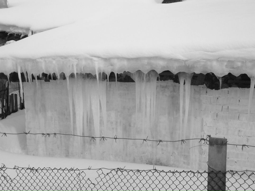 Jaroslav Kalas | London